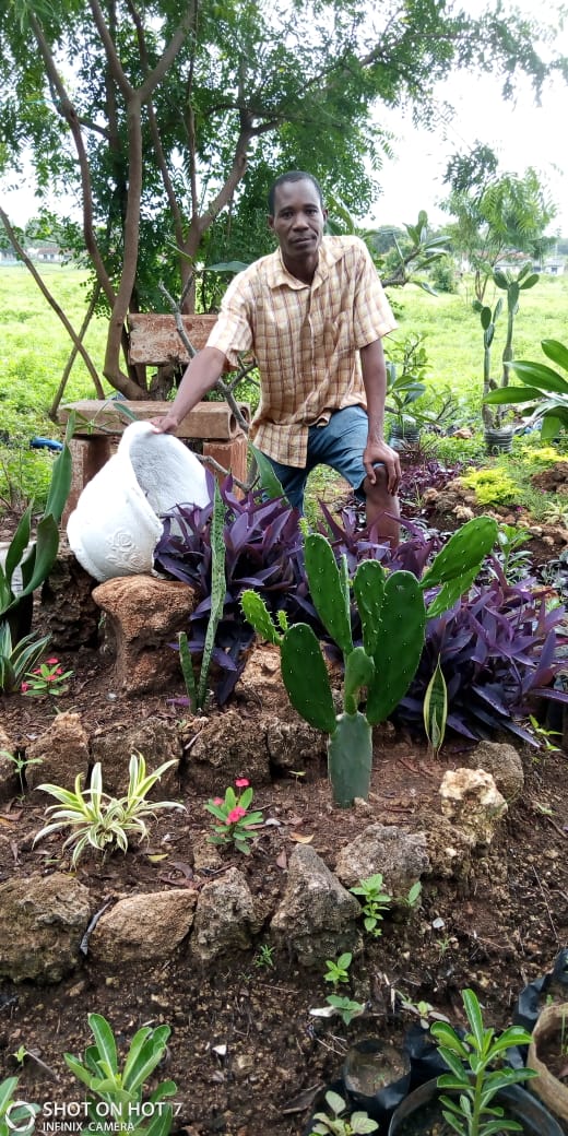Rock garden with hills